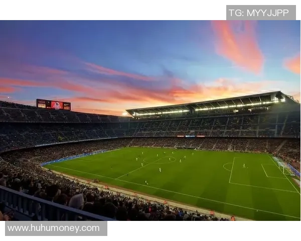 维也纳足球球星的辉煌时刻与绿茵场上传奇故事